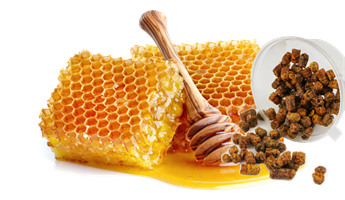 Мёд и продукция пчеловодства
